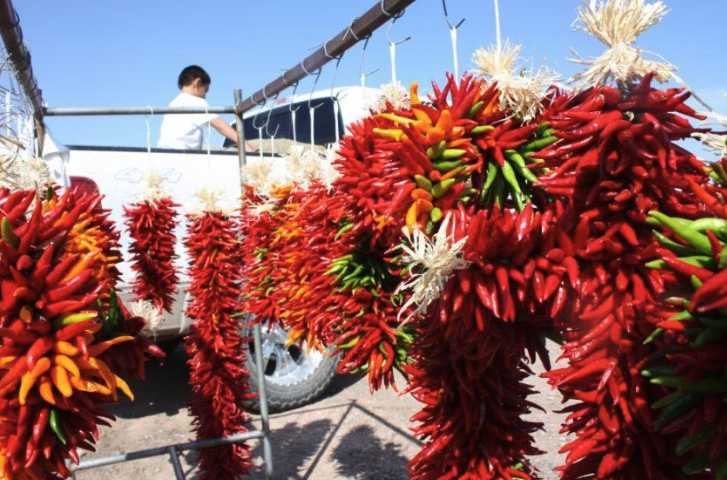  Exploring the Tradition and Flavor of Hatch Chile Ristras